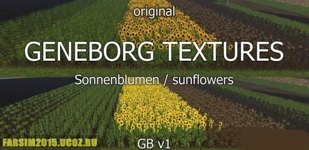Sunflowers Textures v 1.0 (текстуры подсолнечника)